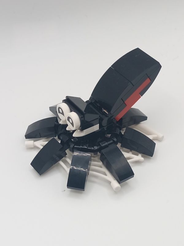 LEGO® Spider, Seasonal Make and Take Set