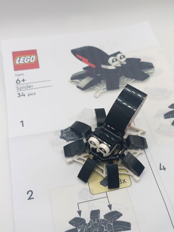 LEGO® Spider, Seasonal Make and Take Set